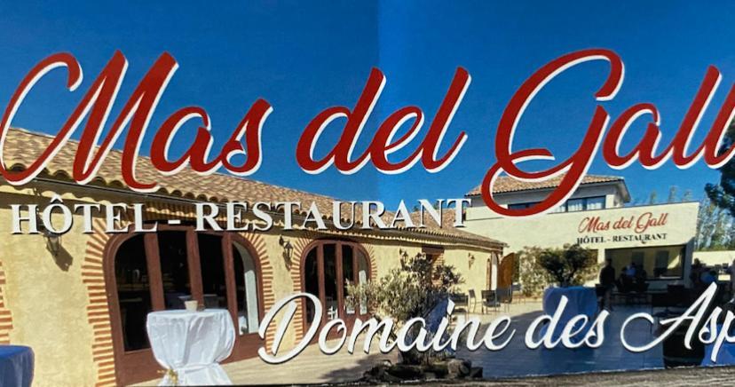 Hôtel Restaurant Mas del Gall Castelnou Extérieur photo